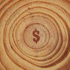 sequoia capital 500m 600m 900m950m fund
