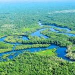 The Amazon Rainforest: A Vital Ecosystem and its Global Significance